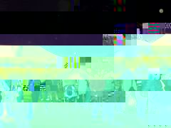 P1150098.JPG, juil. 2019